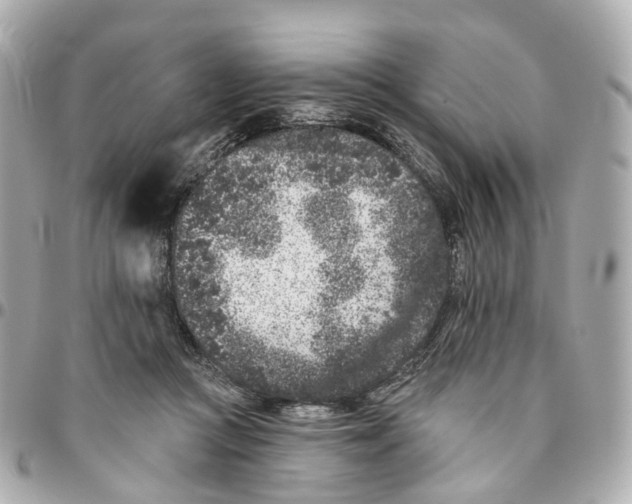 X0000095920361200802011218