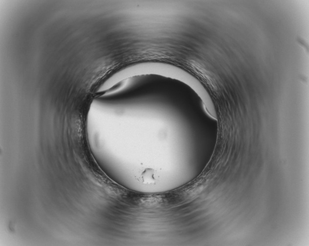 X0000095920362200802011218