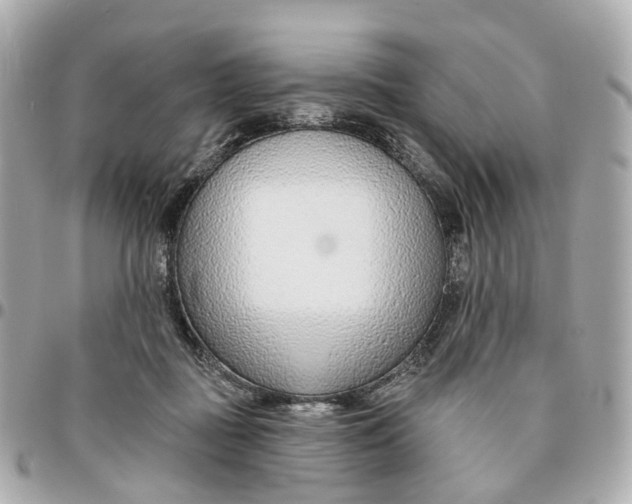 X0000095920363200802011218