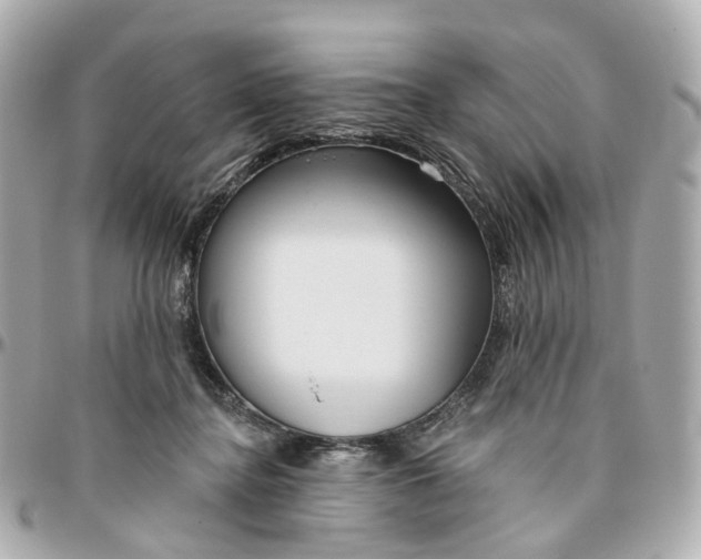 X0000095920364200802011218