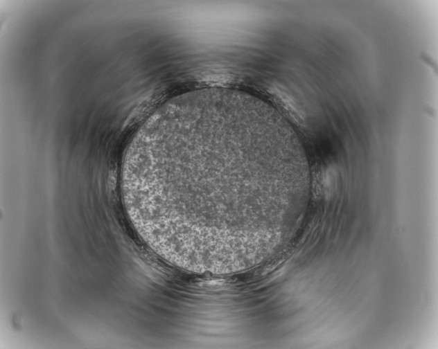 X0000095920365200802011218