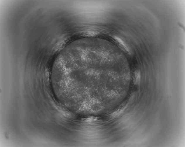 X0000095920366200802011218