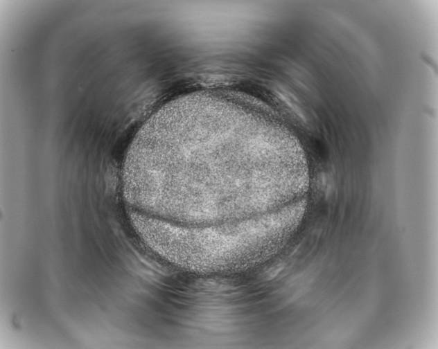 X0000095920367200802011218