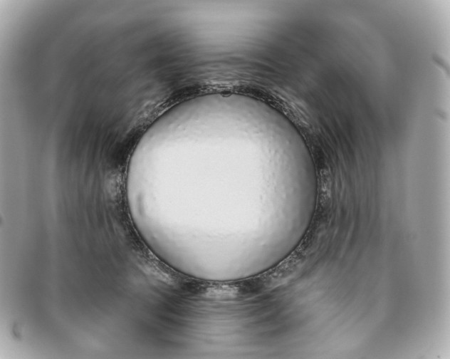 X0000095920369200802011218