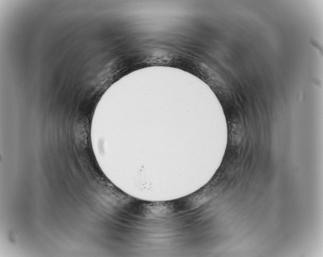 X0000095920370200802011218