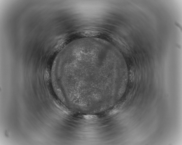 X0000095920371200802011218