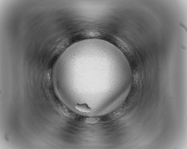 X0000095920373200802011218