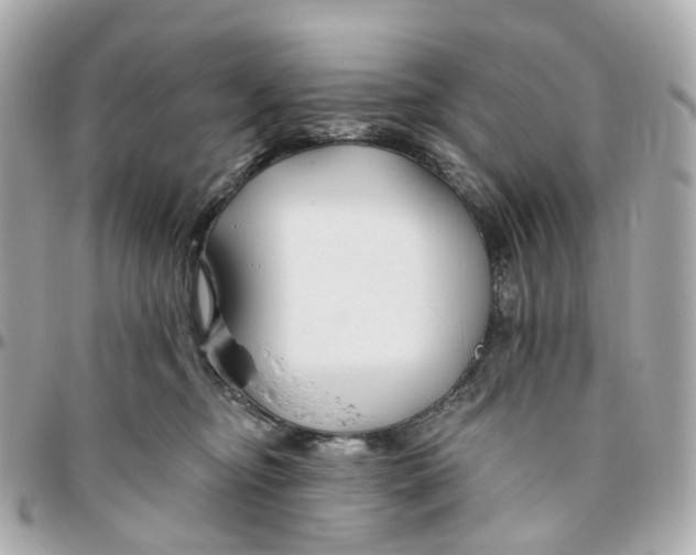 X0000095920374200802011218