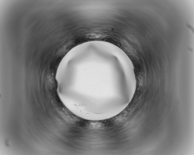 X0000095920376200802011218