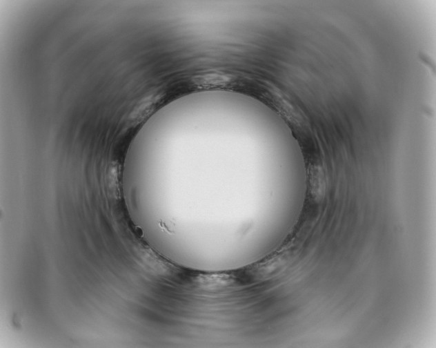 X0000095920378200802011218