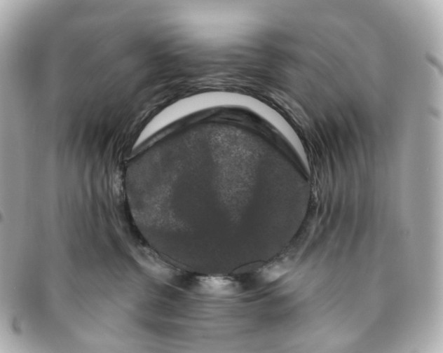 X0000095920380200802011218