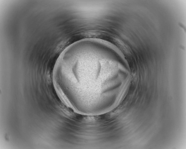 X0000095920381200802011218