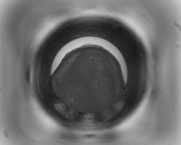 X0000095920382200802011218