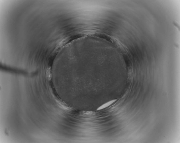 X0000095920383200802011218