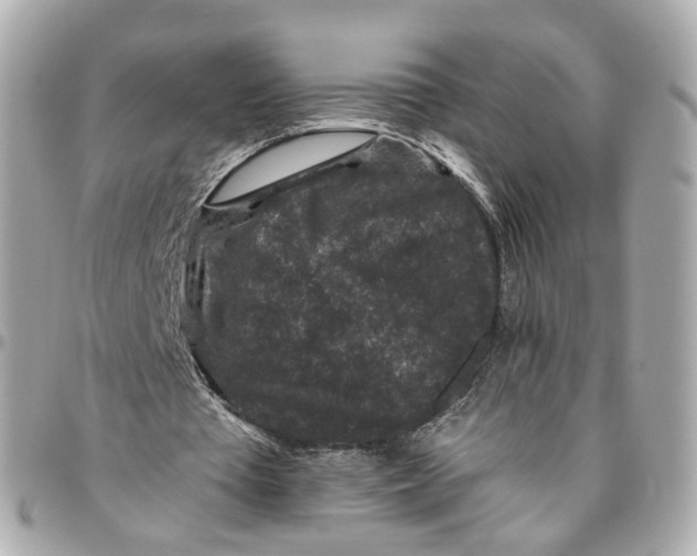 X0000095920385200802011217