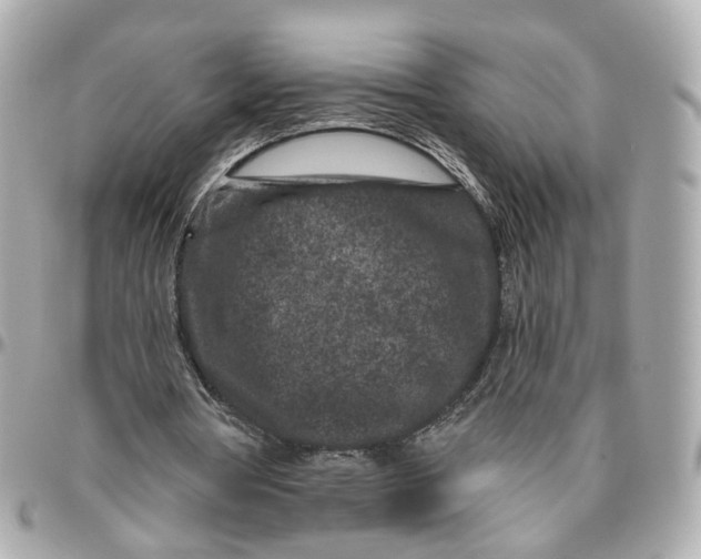 X0000095920386200802011217