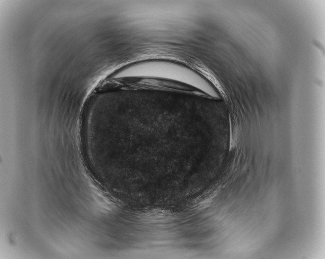 X0000095920387200802011217