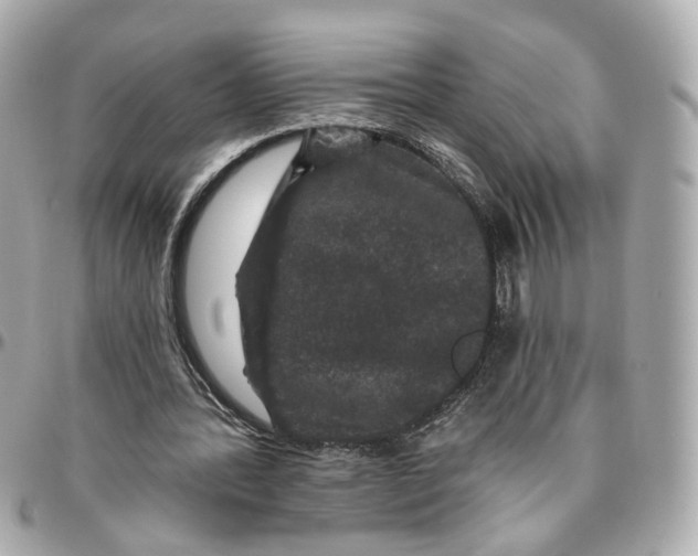 X0000095920388200802011217