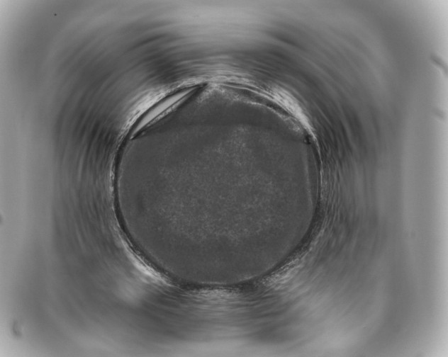 X0000095920389200802011217