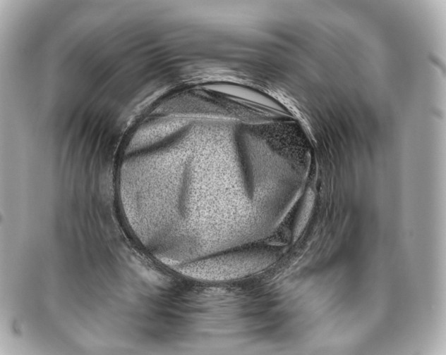 X0000095920390200802011217