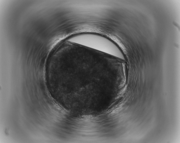 X0000095920391200802011217