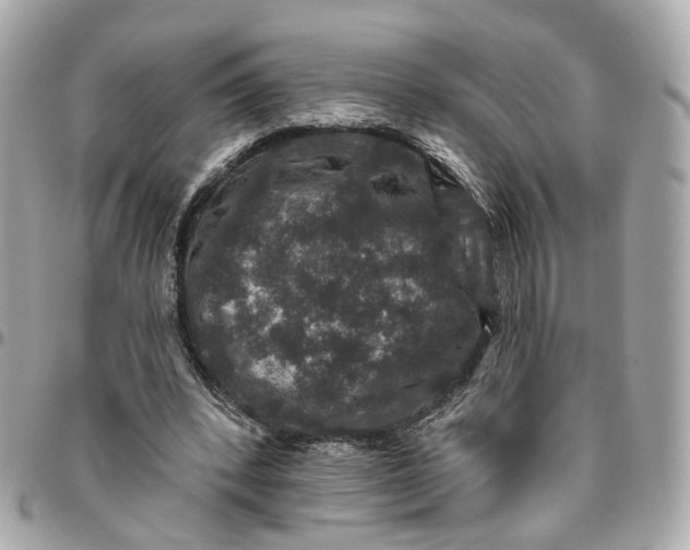 X0000095920392200802011217