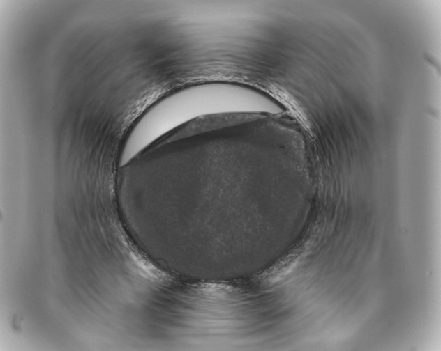 X0000095920393200802011217