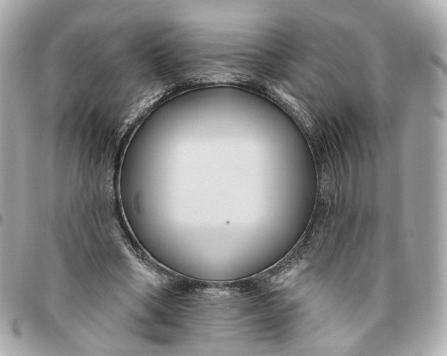 X0000095920394200802011217