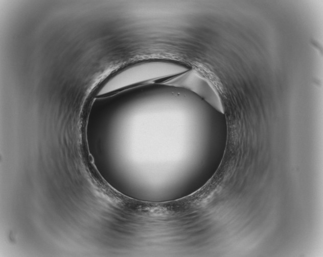 X0000095920395200802011217