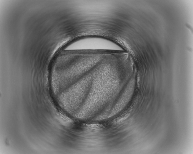 X0000095920396200802011217