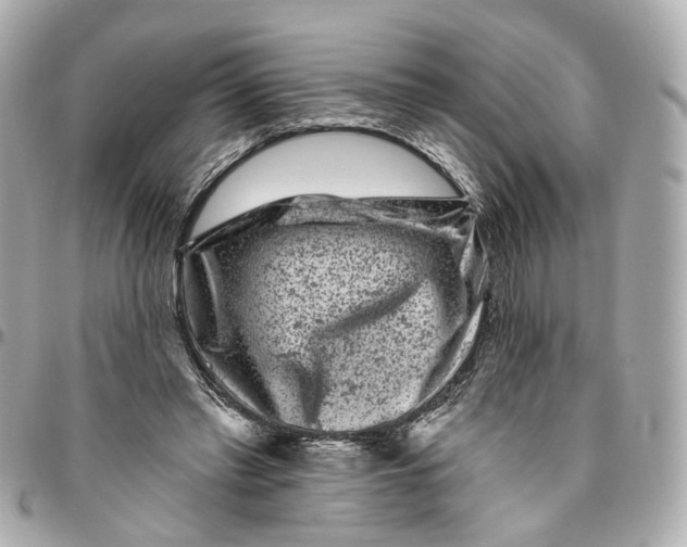 X0000095920397200802011217