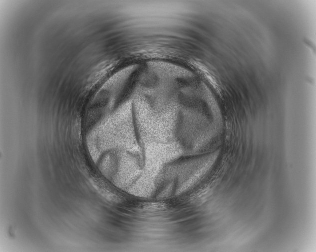 X0000095920398200802011217