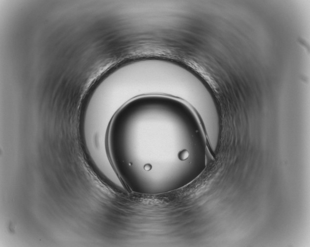 X0000095920399200802011217