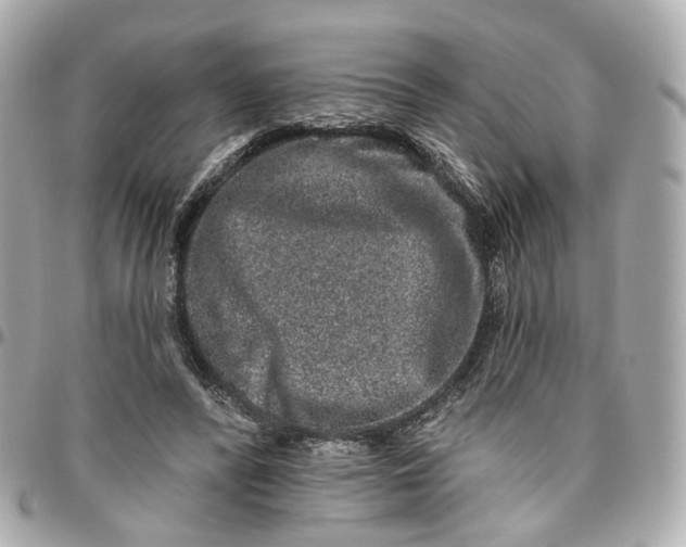 X0000095920400200802011217