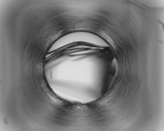 X0000095920401200802011217