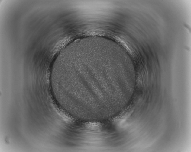 X0000095920402200802011217