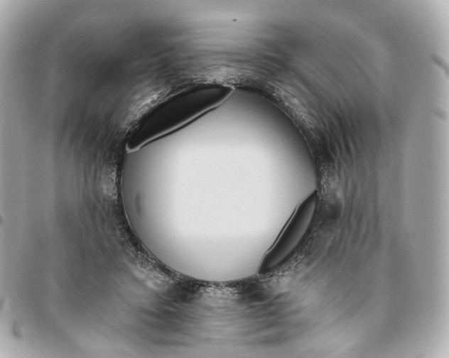 X0000095920403200802011217