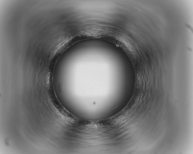 X0000095920404200802011217