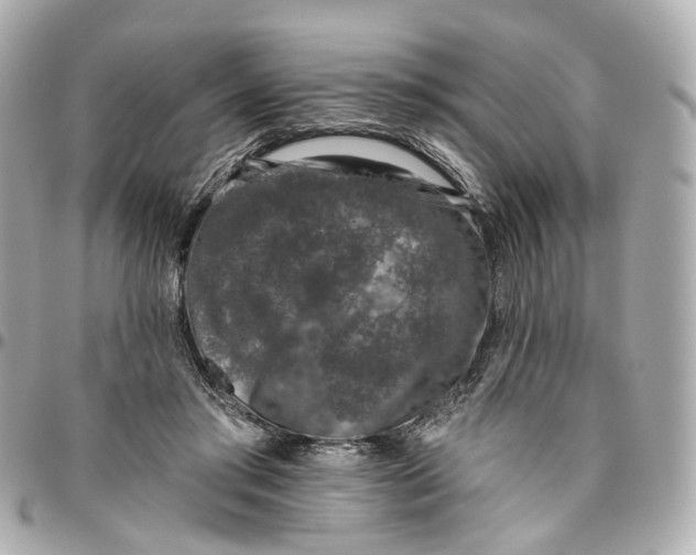 X0000095920405200802011217