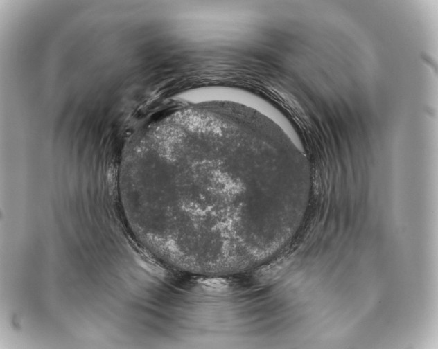 X0000095920409200802011217