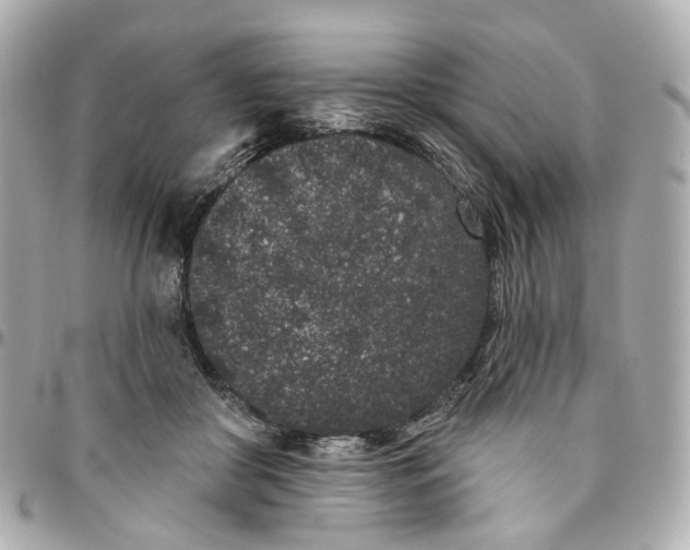 X0000095920410200802011217