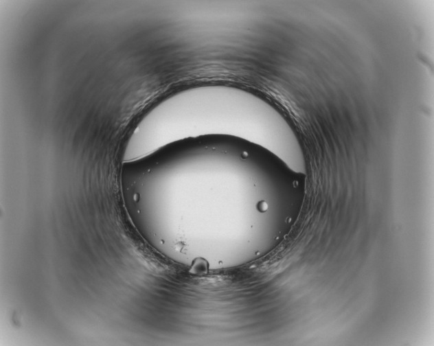 X0000095920411200802011217