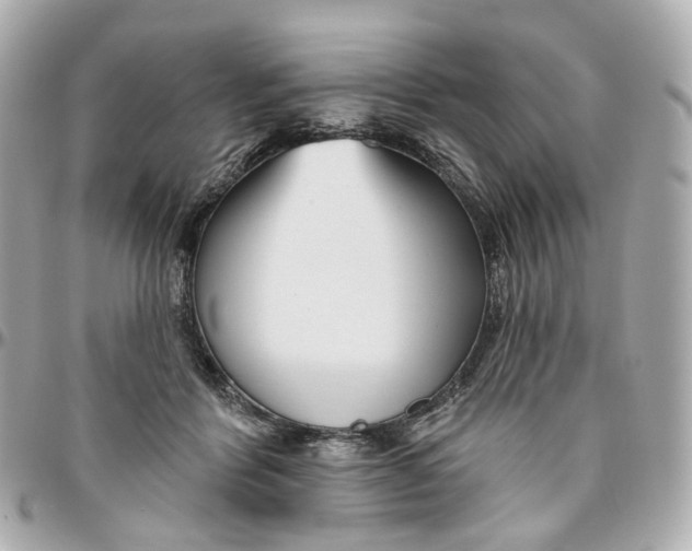 X0000095920412200802011217