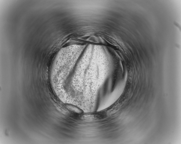 X0000095920413200802011217