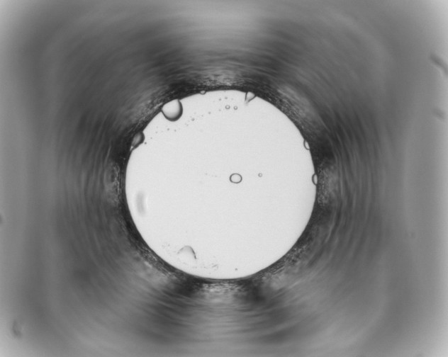 X0000095920414200802011217