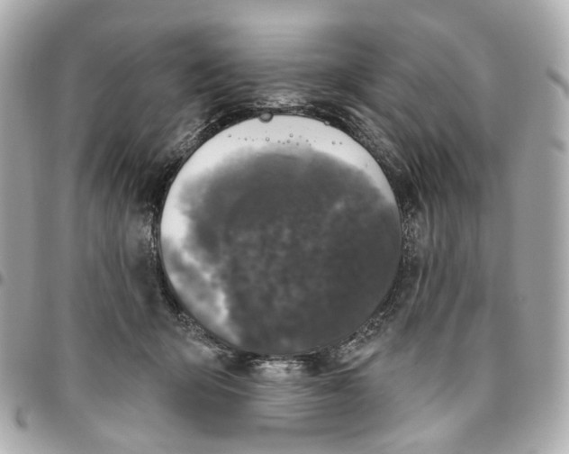 X0000095920415200802011217