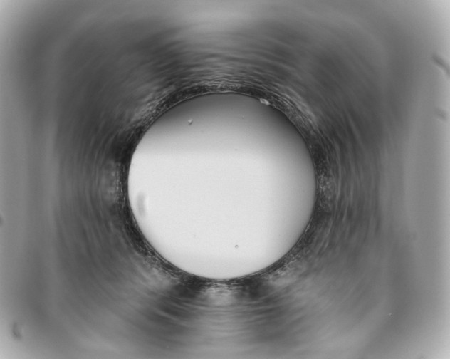 X0000095920416200802011217