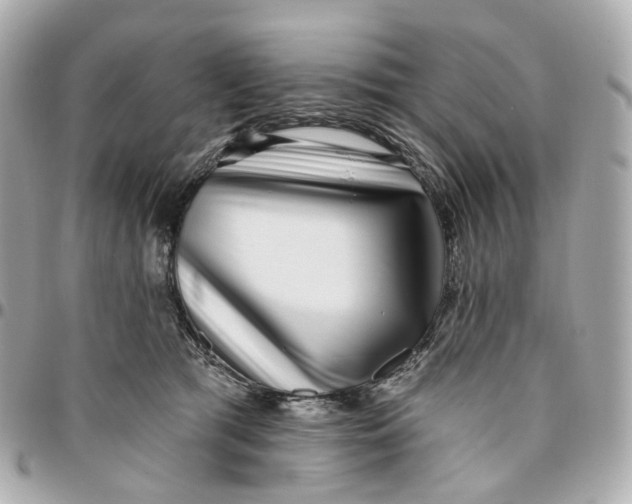 X0000095920417200802011217