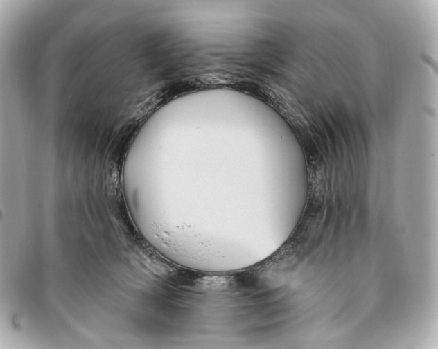 X0000095920418200802011217