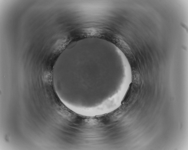 X0000095920419200802011217